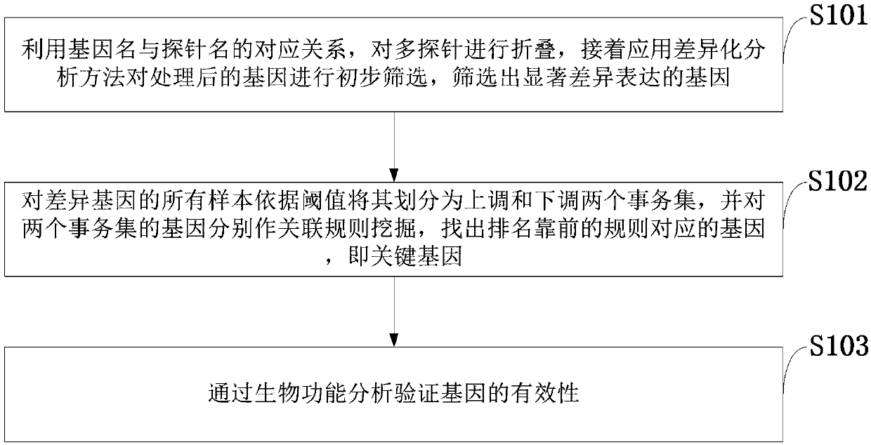 Method for mining whole genome key genes by differentiation and association rules