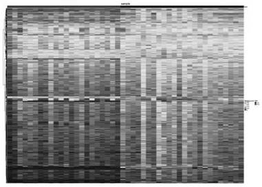 Methylated biomarkers related to gastric cancer lymph node metastasis detection or combination and application thereof