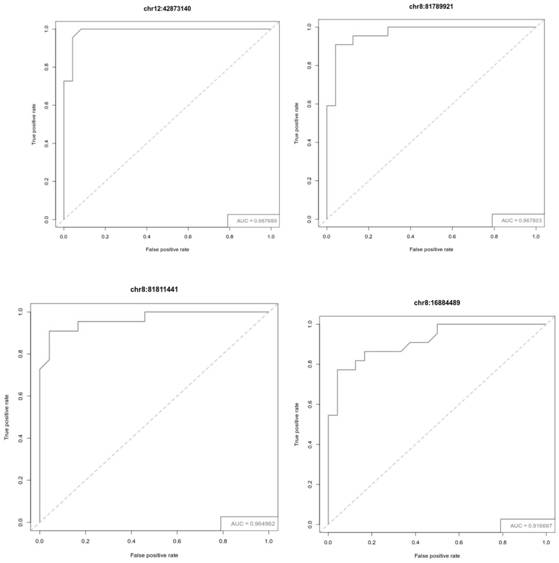 Methylated biomarkers related to gastric cancer lymph node metastasis detection or combination and application thereof