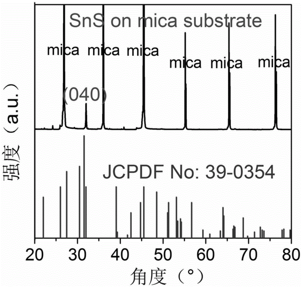 Controllable method for preparing orthogonal-phase stannous sulfide two-dimensional monocrystalline nanosheet