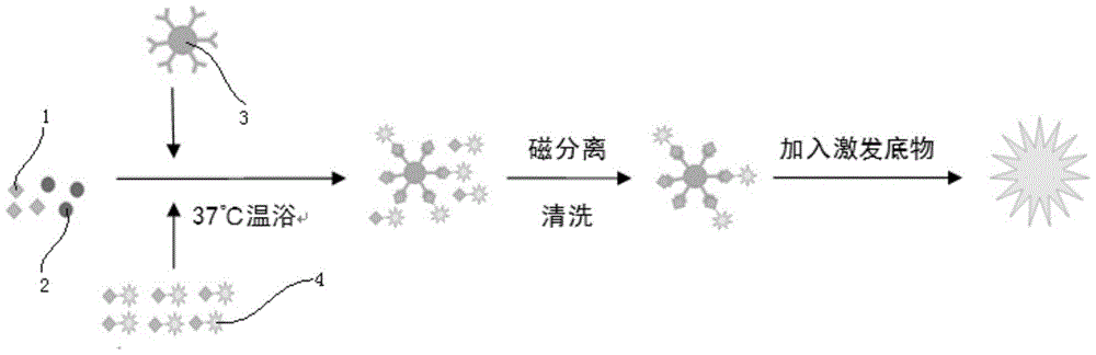 Kit for detection of hepatitis B virus surface antigen