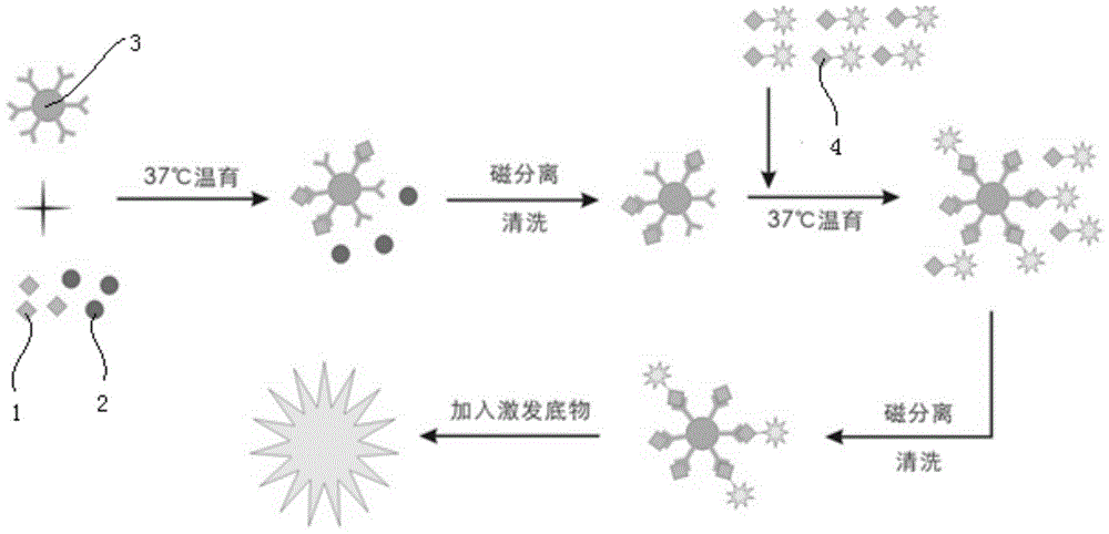 Kit for detection of hepatitis B virus surface antigen