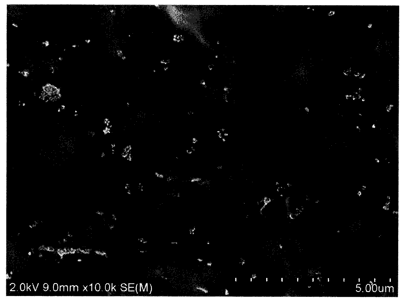 Biodegradable polyester/cellulose nanocomposite and preparation method thereof