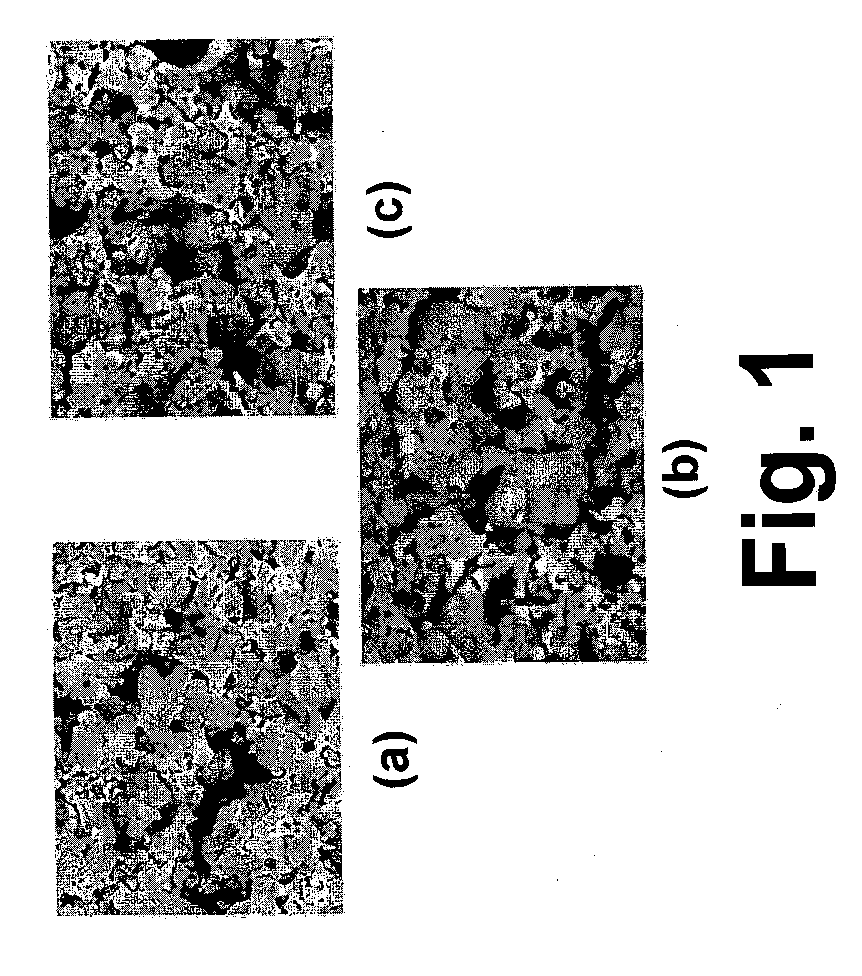 Preconditioning treatment to enhance redox tolerance of solid oxide fuel cells