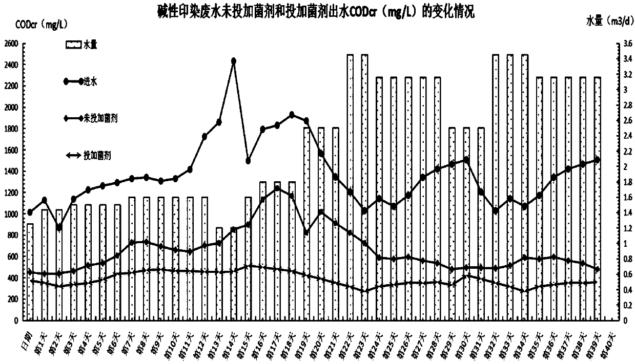 Microorganism compound bacterium agent for treating alkaline printing and dyeing wastewater