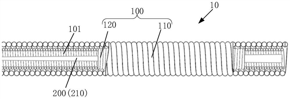 Embolic substance and preparation method thereof