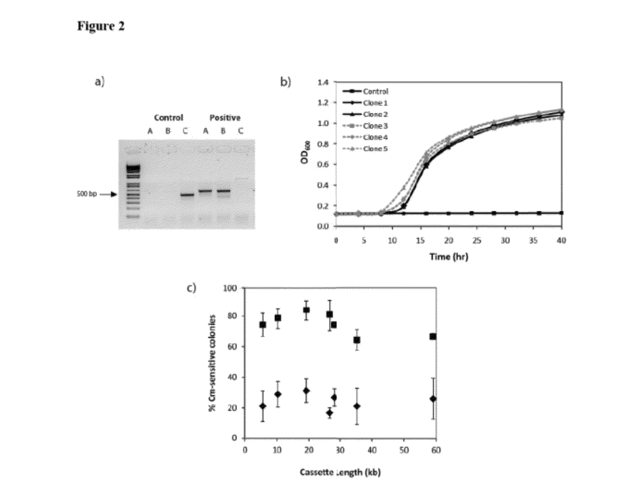 Chromosomal DNA integration method