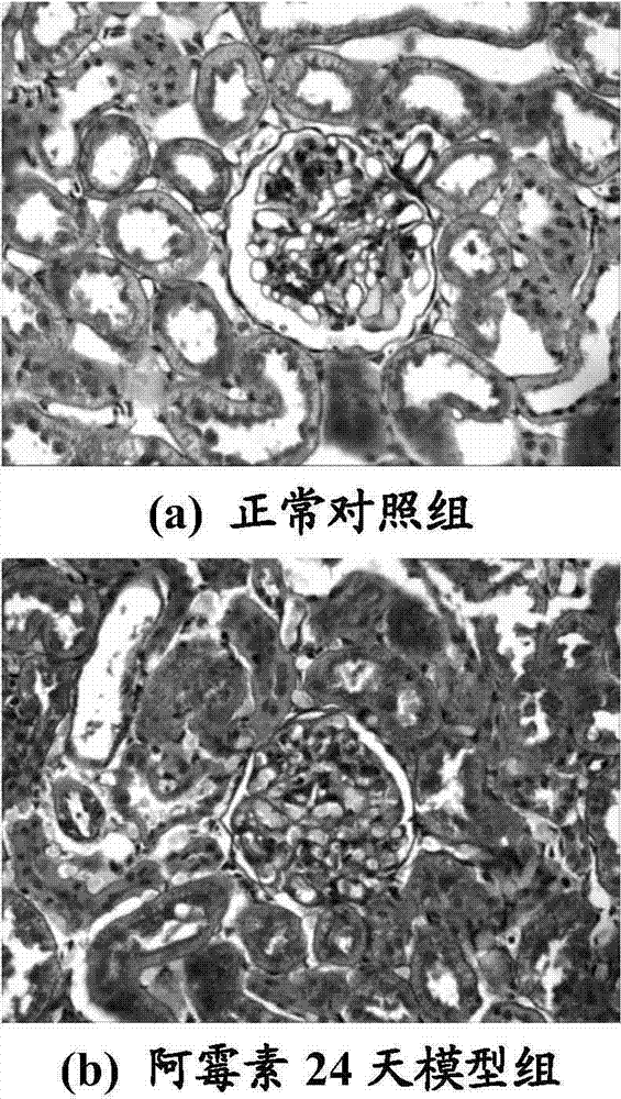 Albumin-containing pharmaceutical composition and application thereof