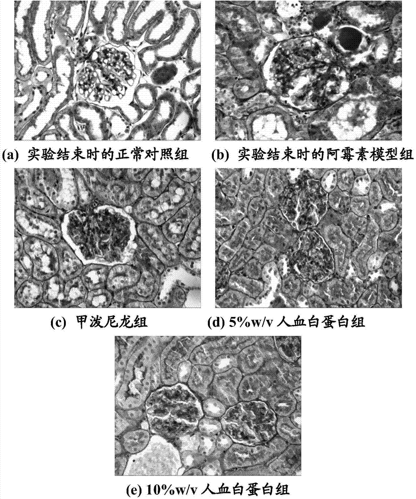 Albumin-containing pharmaceutical composition and application thereof