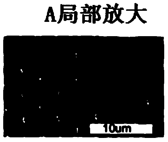 Polyaniline pincushion array film having electric field responding hydrophilic/hydrophobic change and preparation method thereof