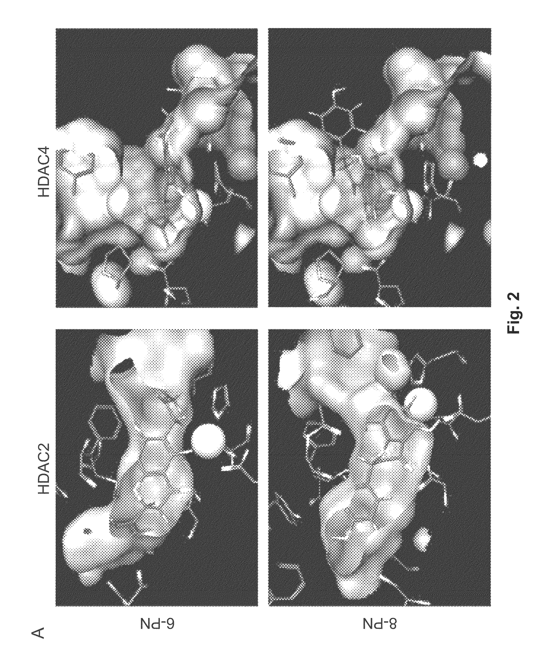 Pharmaceutical composition