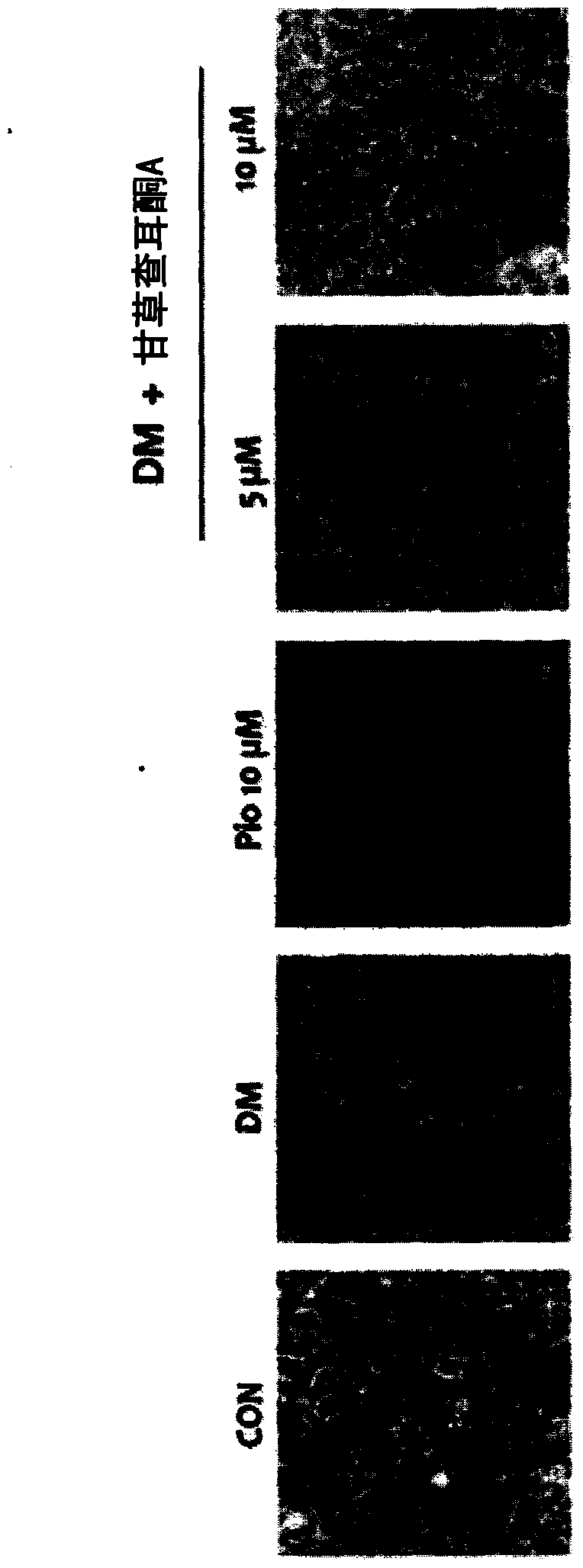 Novel uses of licochalcone A