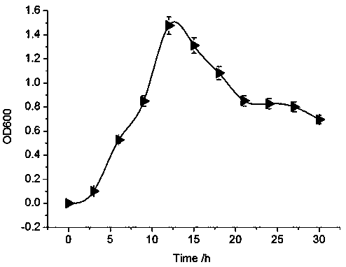 Method for brewing chestnut fruit wine by mixed one-step fermentation of rhizopus and saccharomyces cerevisiae