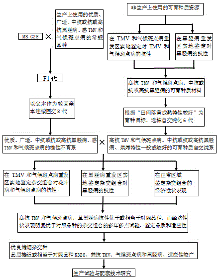 Breeding method for multi-resistance flue-cured tobacco hybrid