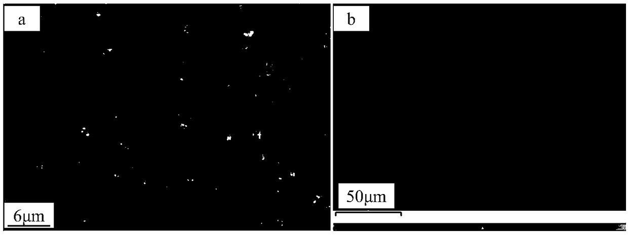 Composite polymer solid electrolyte, solid-state lithium battery and preparation method thereof