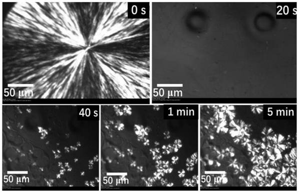 A method for controlling the transformation of crystal form ii to crystal form i by adding liquid additives that can be matched to the melt processing of isotactic poly-1-butene