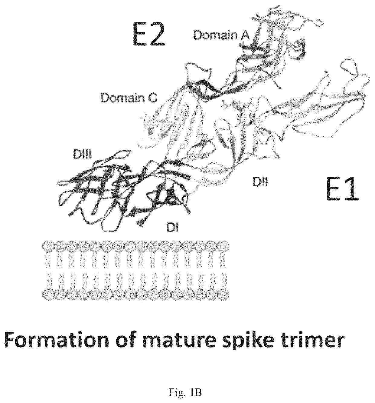 CHIKV RNA vaccines