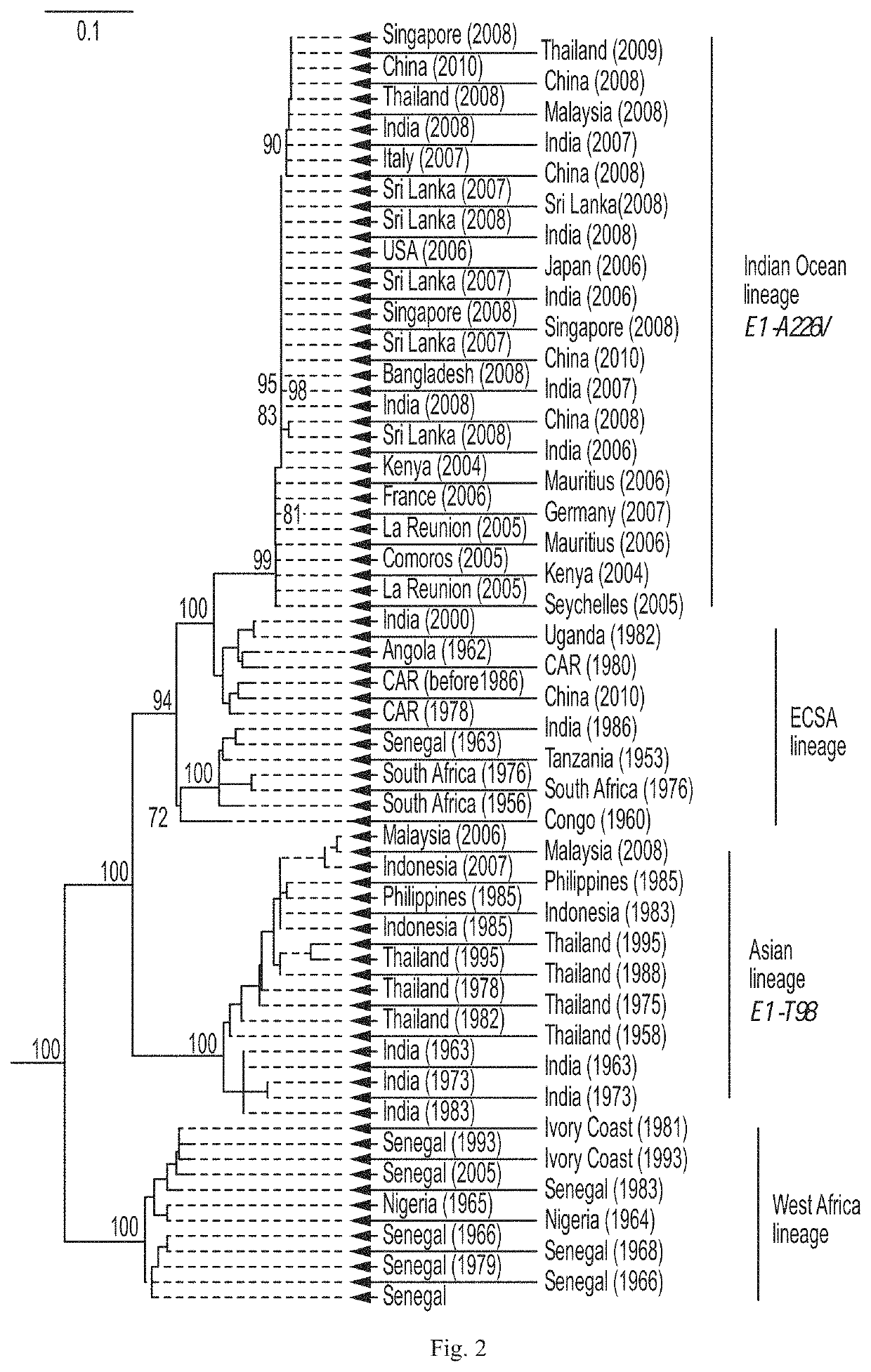 CHIKV RNA vaccines