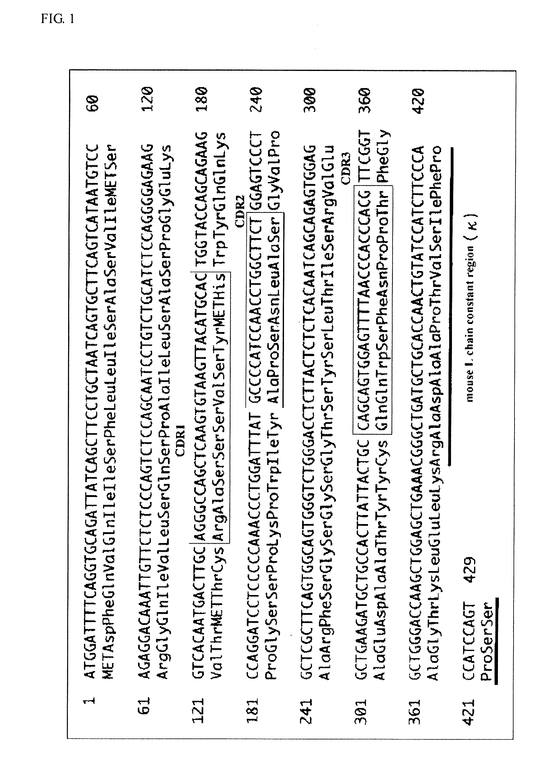 Antibody having enhanced adcc activity and method for production thereof