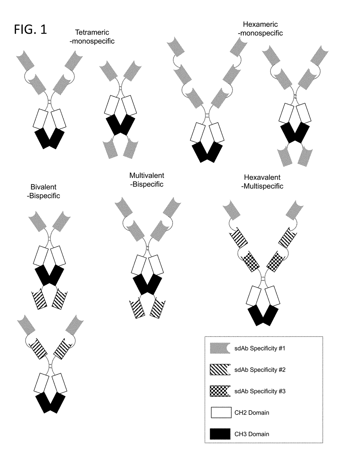 Multivalent and multispecific 41bb-binding fusion proteins