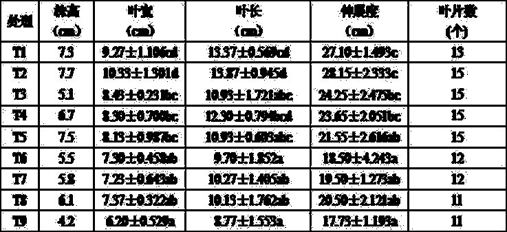 Cultivation medium taking fly ash as main raw material and preparation method thereof