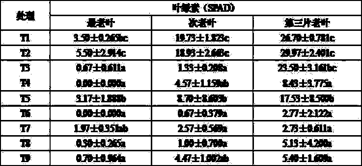 Cultivation medium taking fly ash as main raw material and preparation method thereof