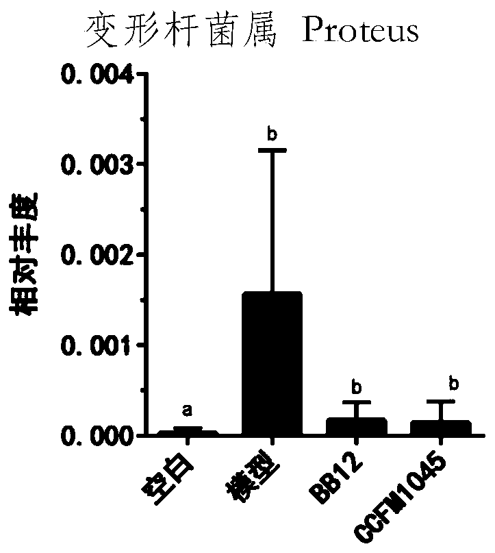 Bifidobacterium pseudocatenulatum CCFM1045, composition, fermented food, applications, microbial inoculum and preparation method thereof