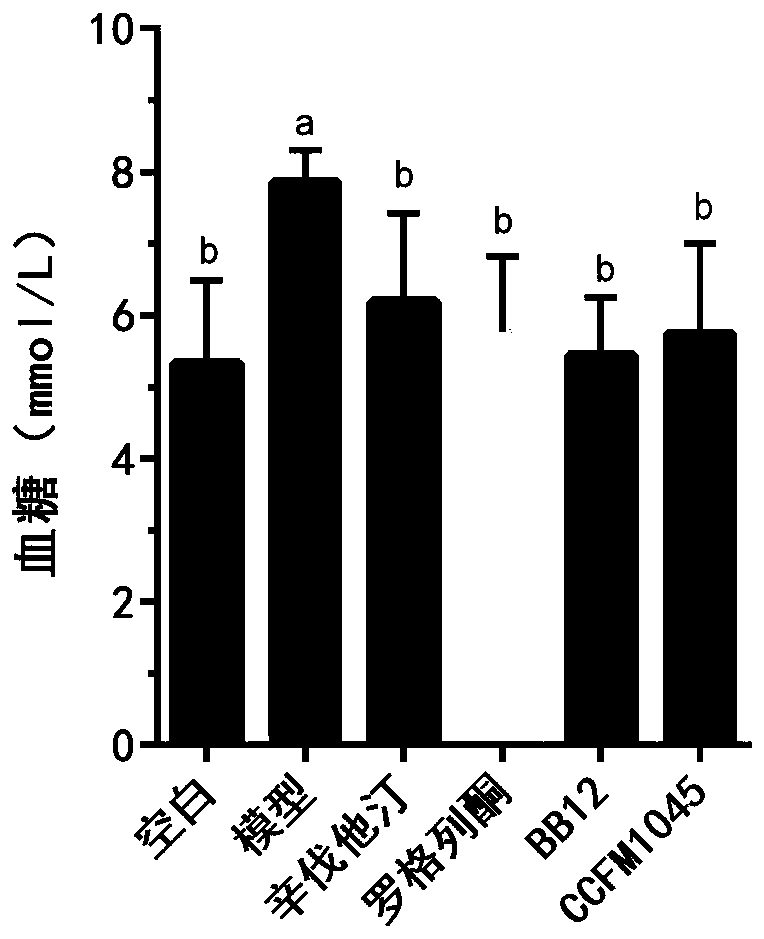 Bifidobacterium pseudocatenulatum CCFM1045, composition, fermented food, applications, microbial inoculum and preparation method thereof