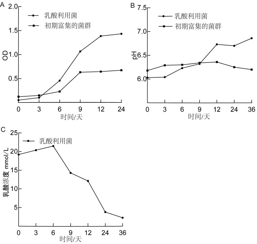 A kind of culture medium for enriching lactic acid-utilizing bacteria