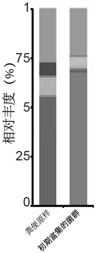 A kind of culture medium for enriching lactic acid-utilizing bacteria