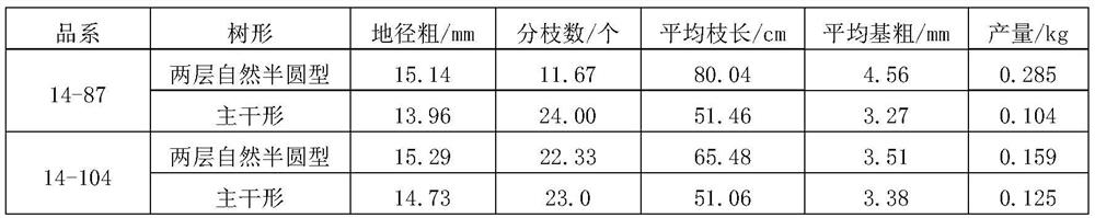 Cultivation method for trunk-shaped Chinese wolfberry tree form