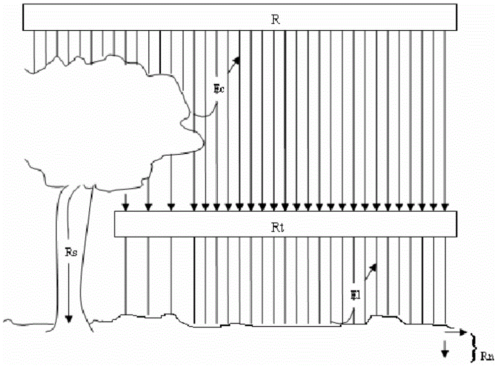 Method for building water storage type landscape plant community