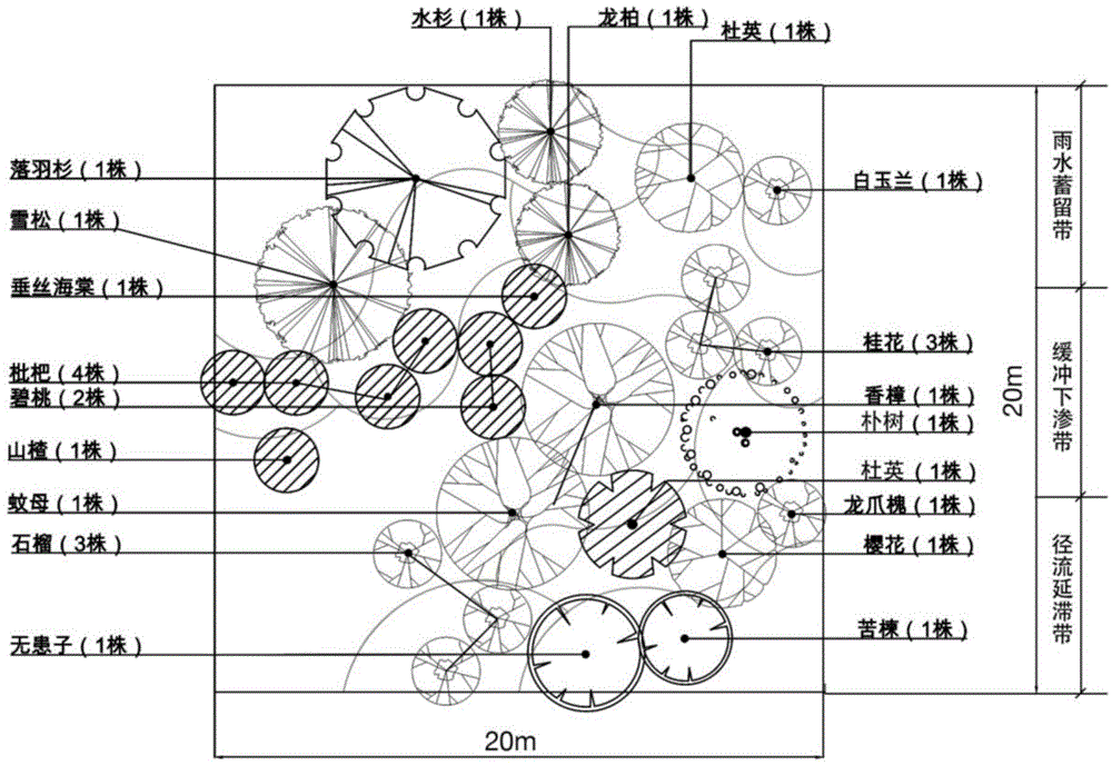 Method for building water storage type landscape plant community