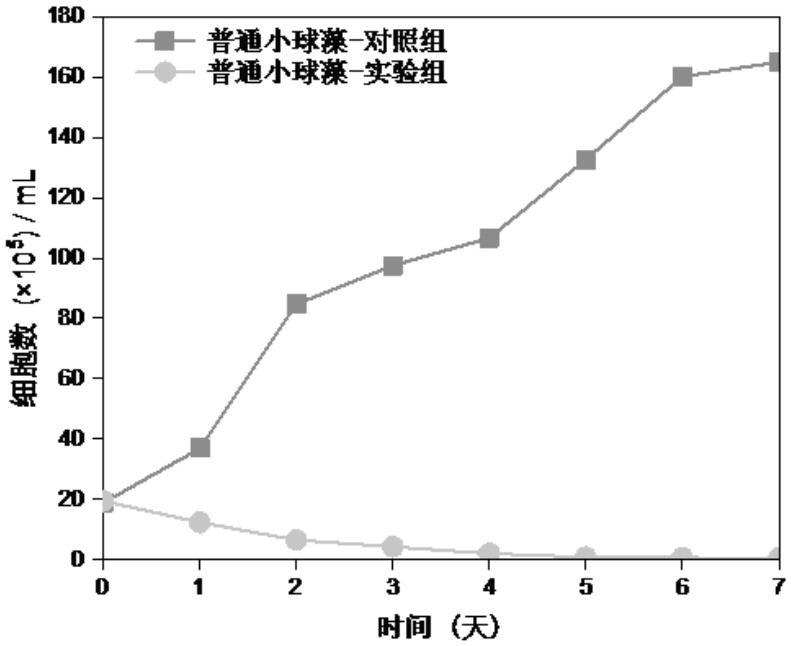 Algae inhibition material and application thereof in soilless culture