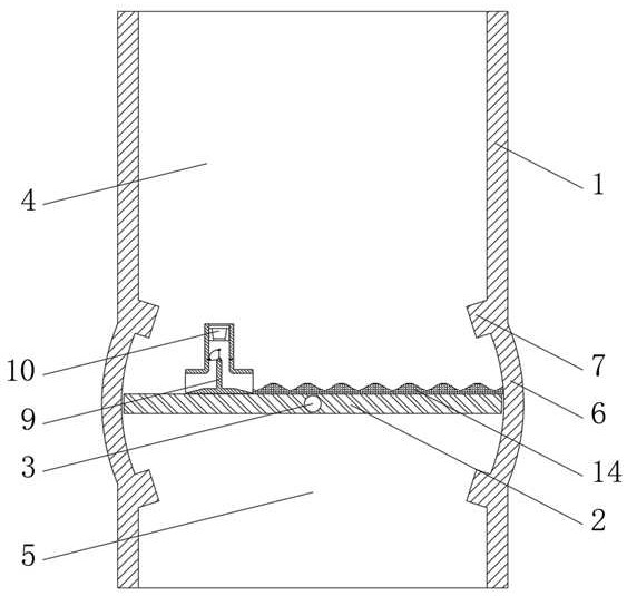 Sewage filtering device for environmental engineering water quality detection