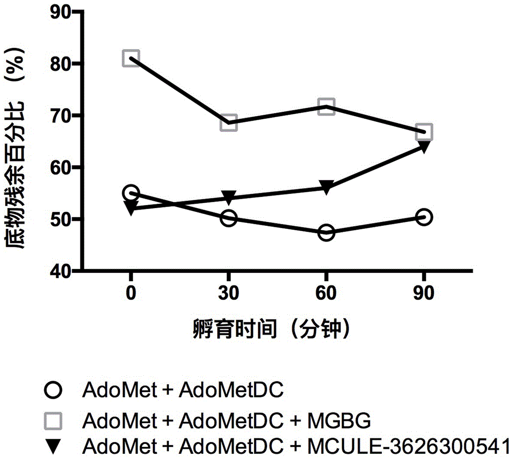 Application of small-molecule covalent inhibitor in preparing medicine for inhibiting S-adenosylmethionine decarboxylase and screening method of small-molecule covalent inhibitor