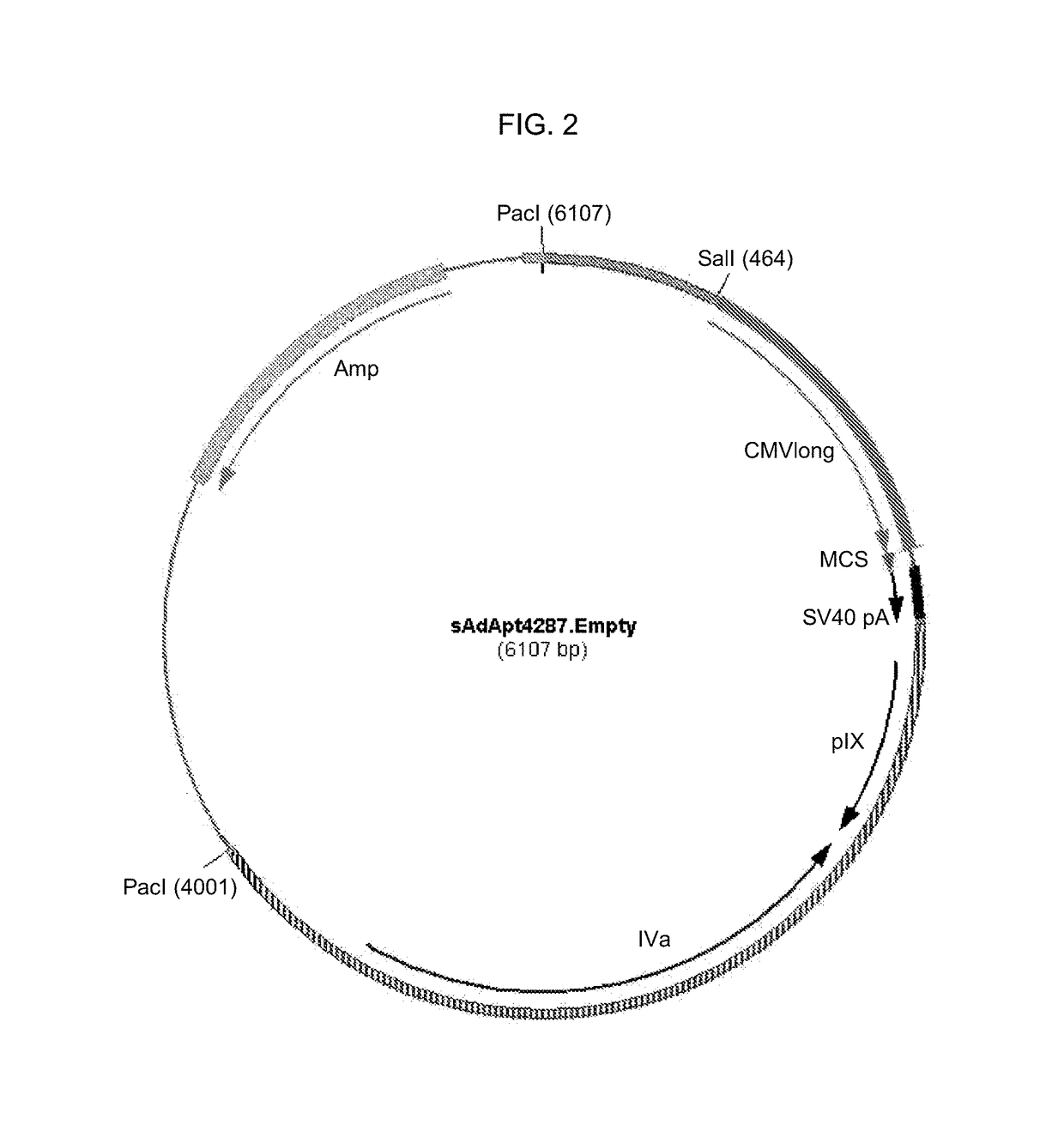 Recombinant adenoviruses and use thereof