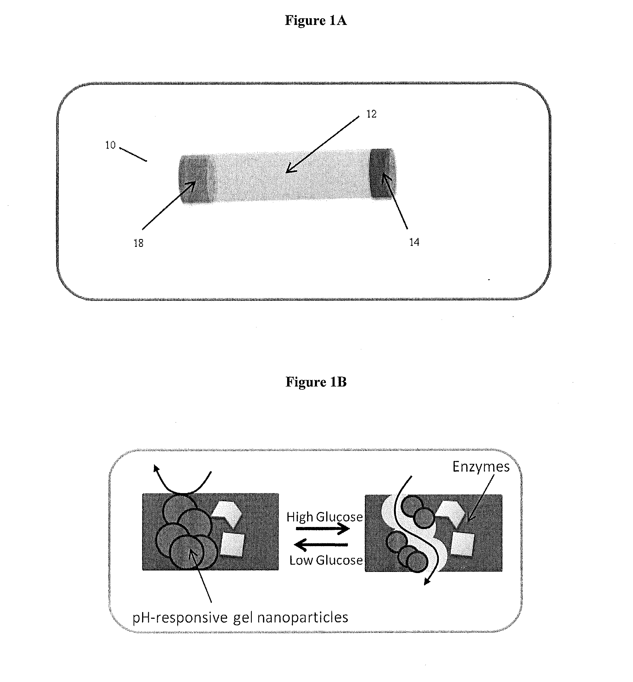 Implantable-glucose responsive insulin delivery device