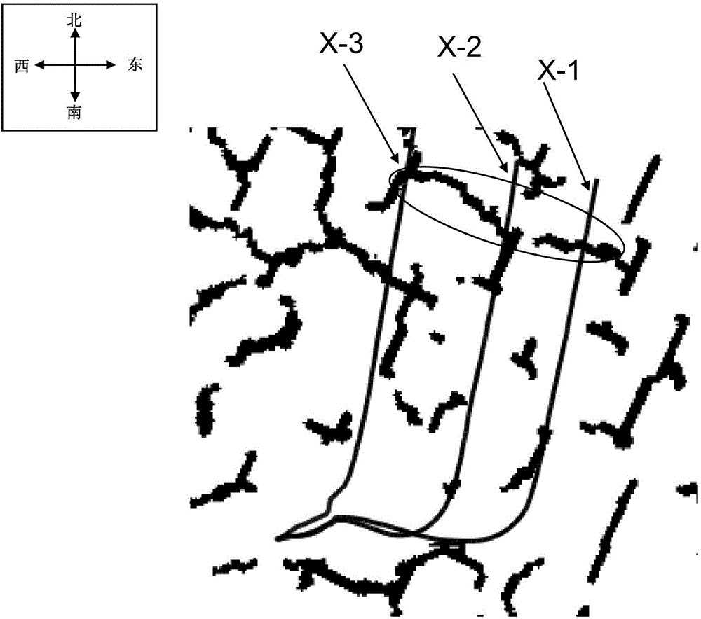 Shale gas reservoir fracture modeling method based on microseism monitoring data