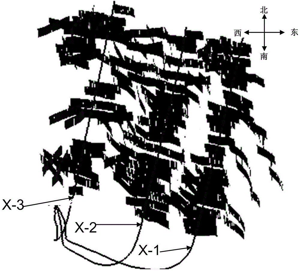 Shale gas reservoir fracture modeling method based on microseism monitoring data