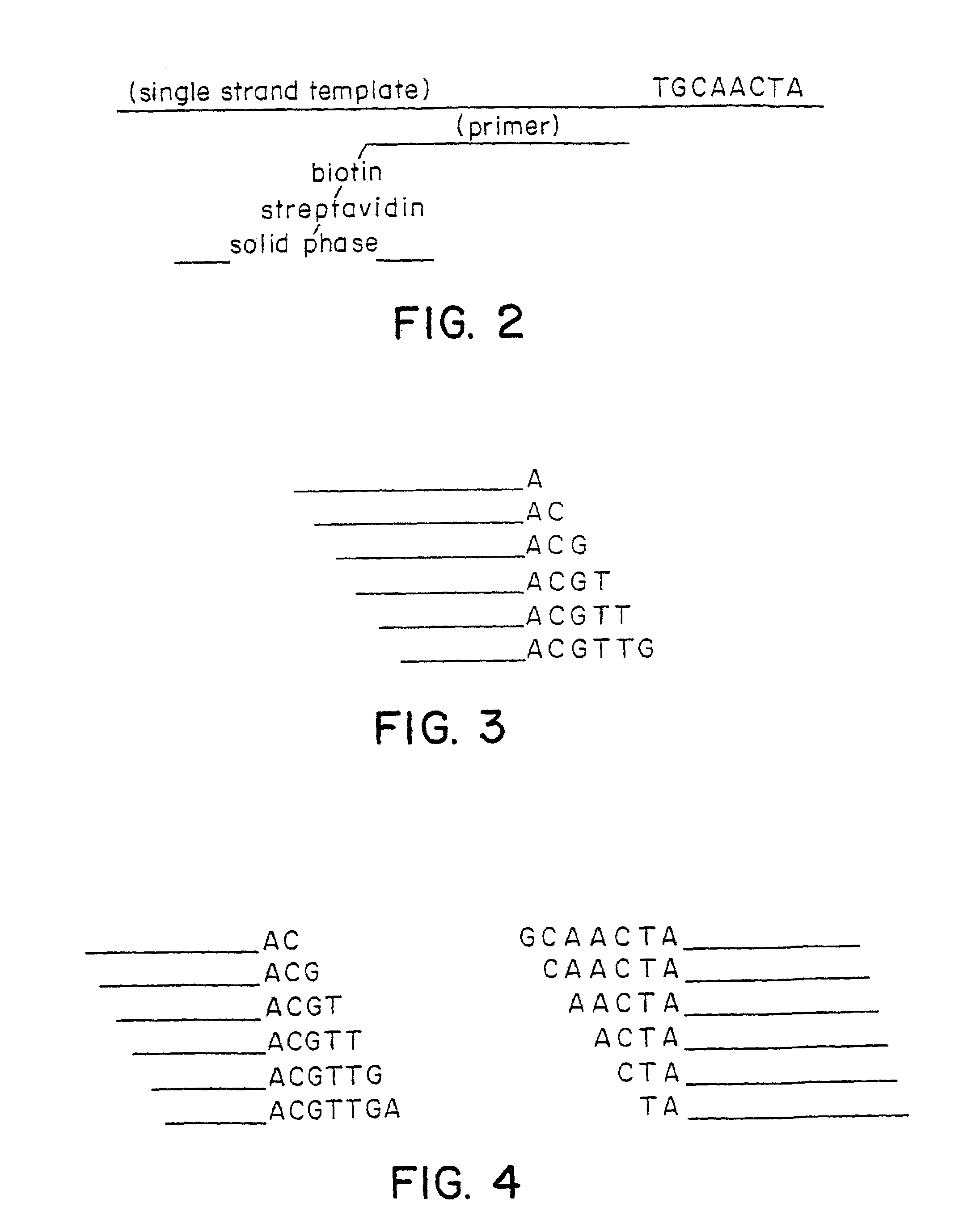 Parallel primer extension approach to nucleic acid sequence analysis