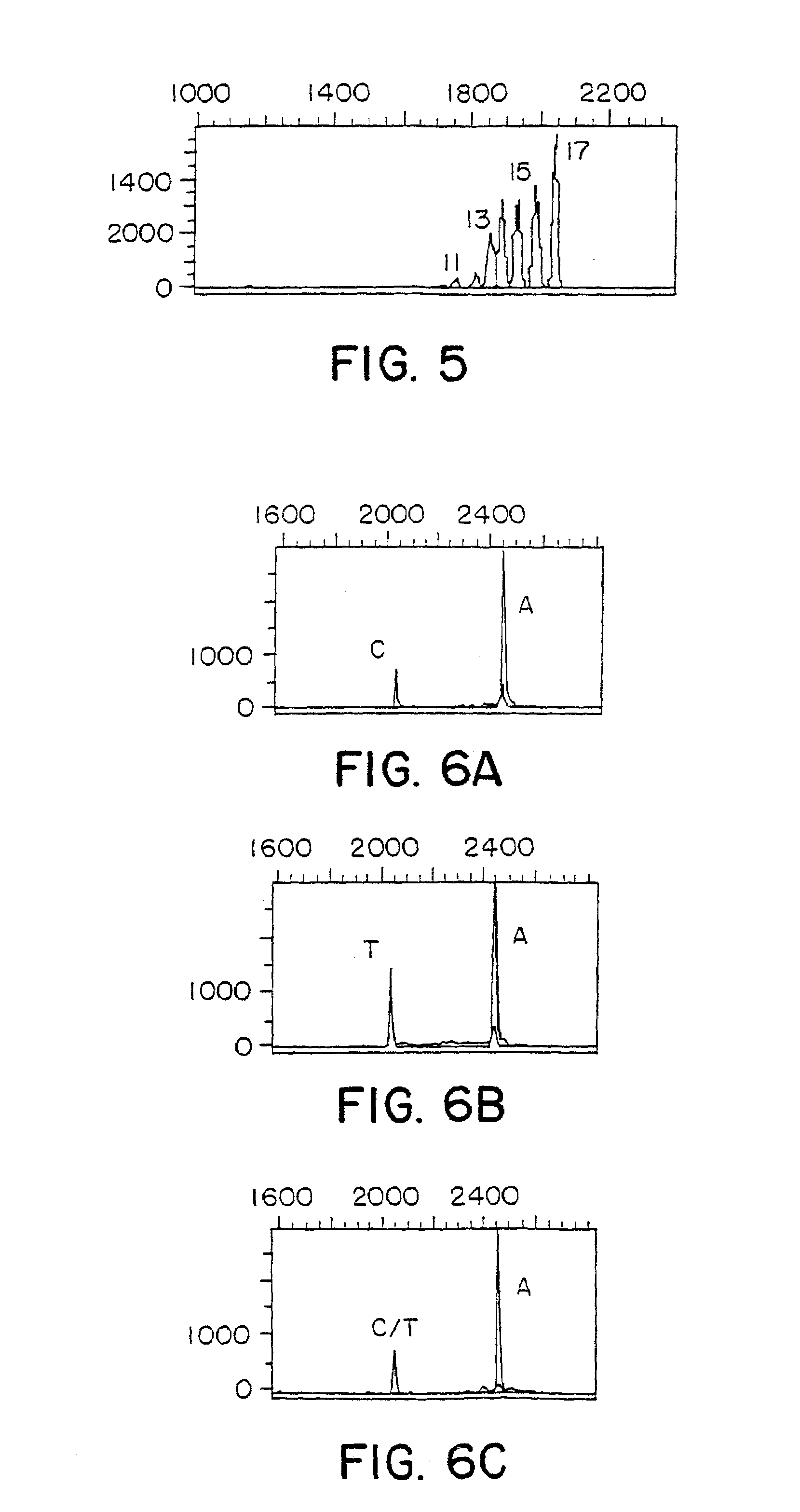 Parallel primer extension approach to nucleic acid sequence analysis