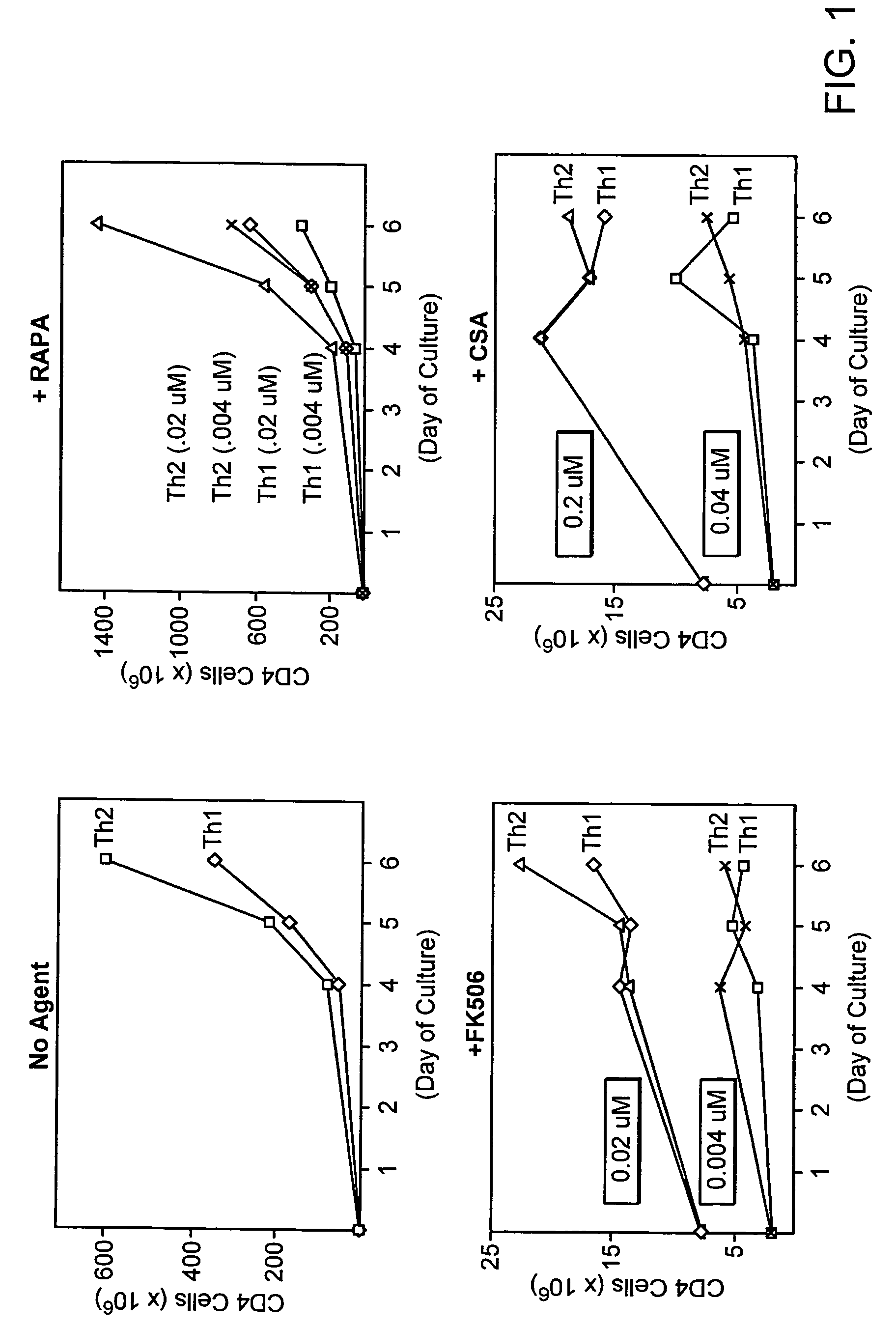 Rapamycin-resistant T cells and therapeutic uses thereof