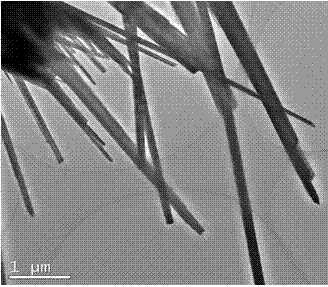 Hollow-structure nano tungsten oxide wire prepared through in-situ growth of graphene oxide