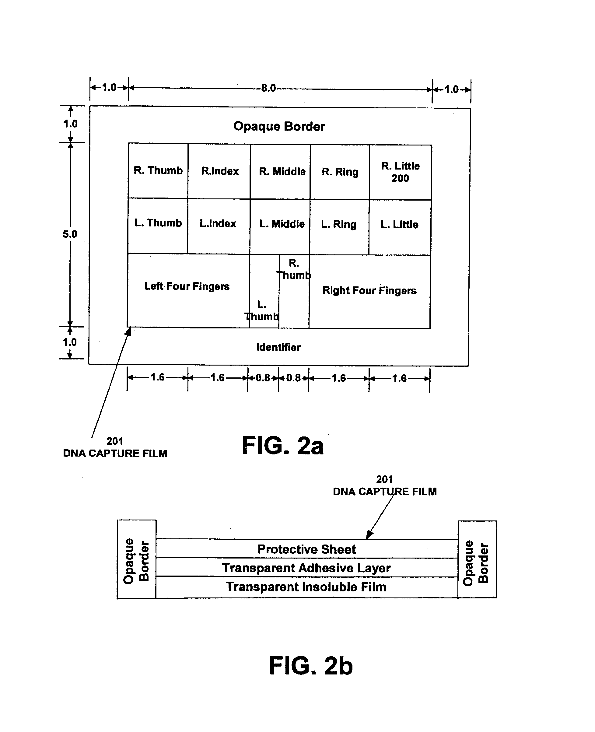 System and method for collecting DNA and fingerprints