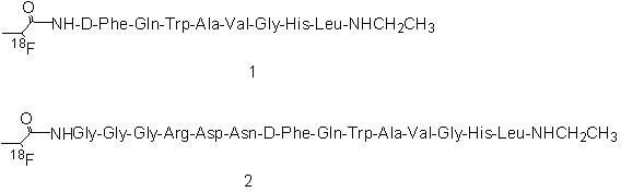 A Peptide Modified Segment and Its Application in the Modification of Peptide Molecular Imaging Probes