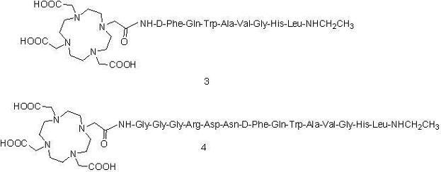 A Peptide Modified Segment and Its Application in the Modification of Peptide Molecular Imaging Probes