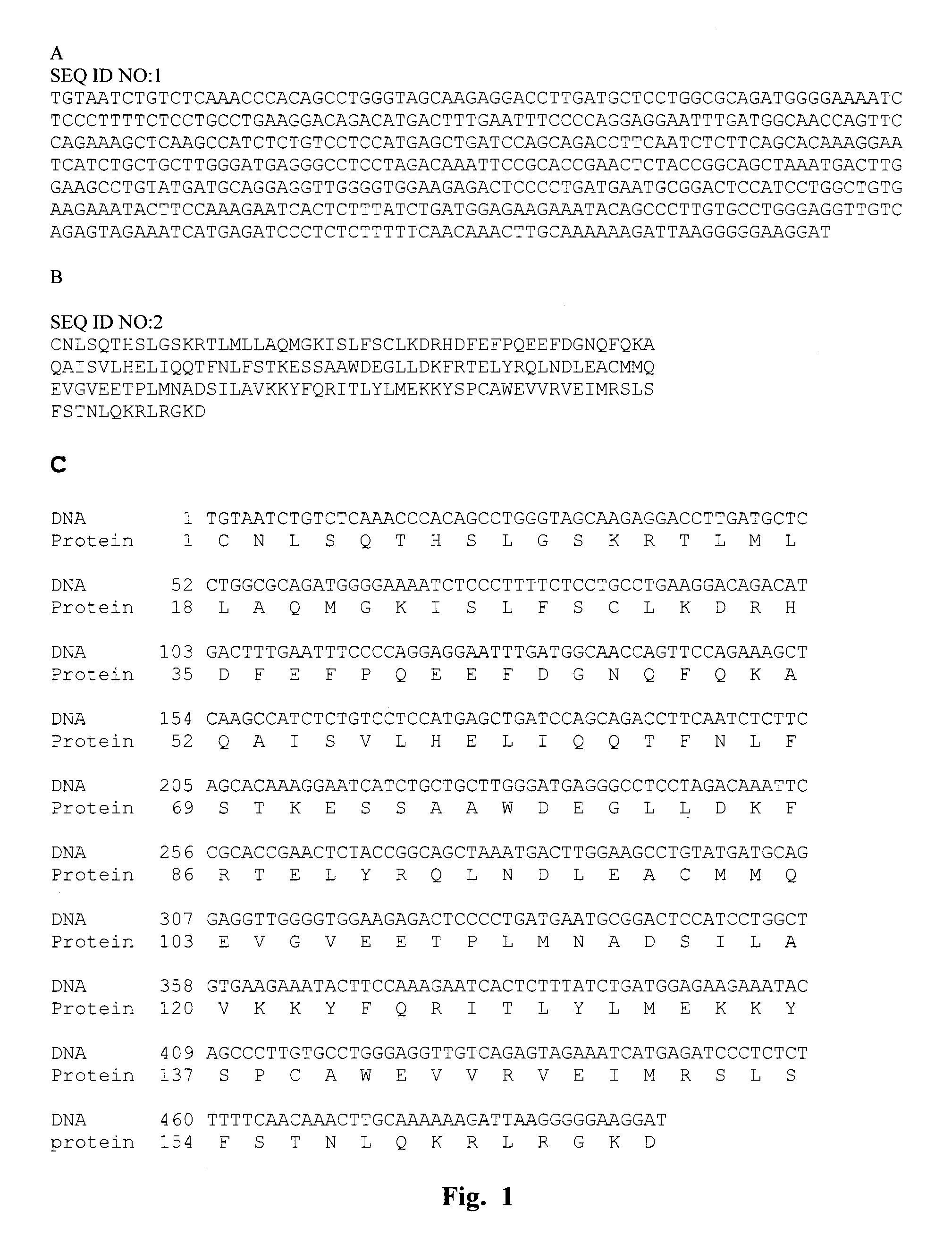 Recombinant human interferon-like proteins