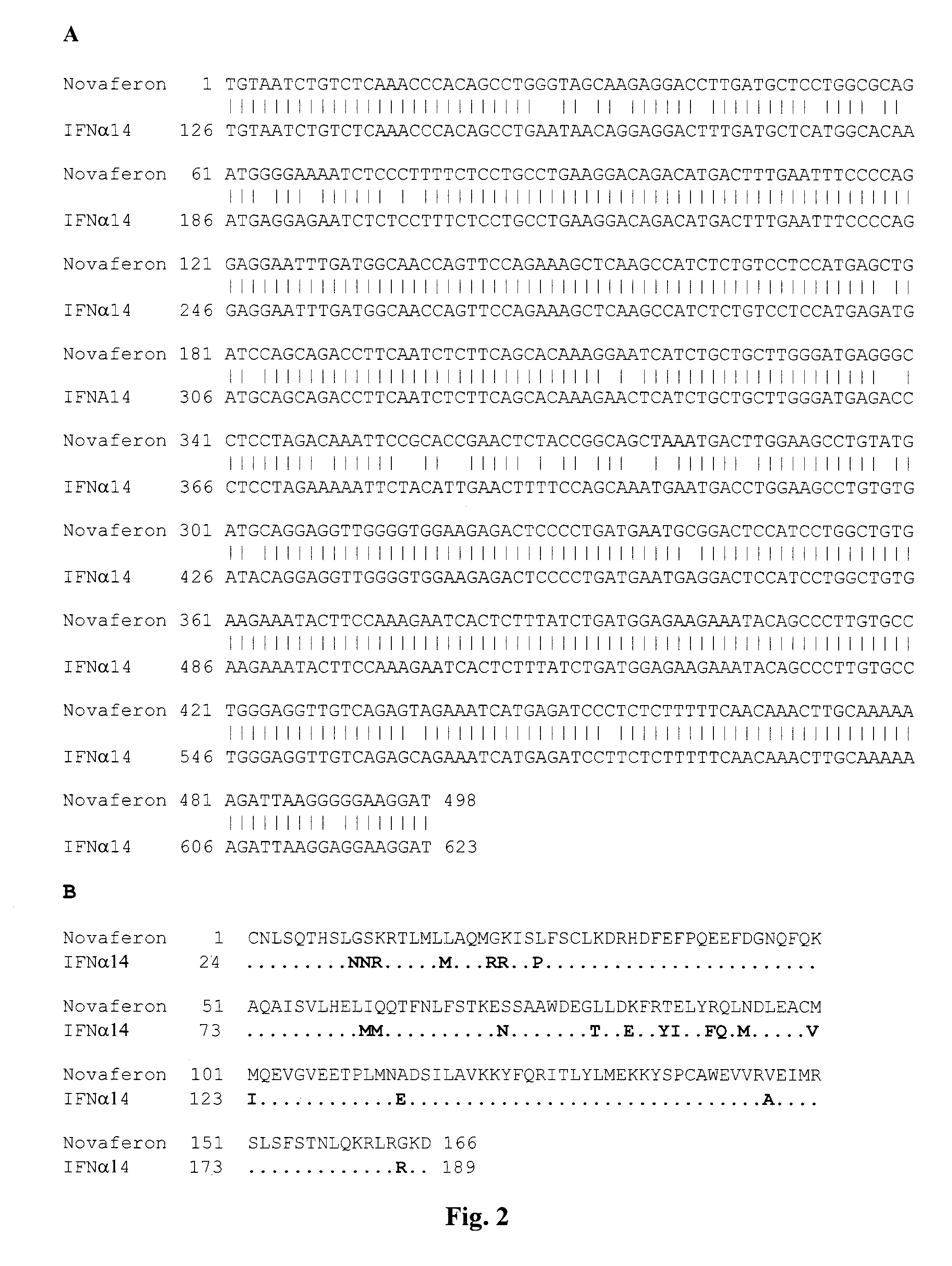 Recombinant human interferon-like proteins