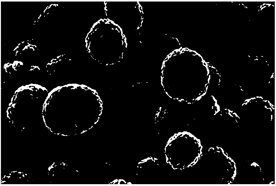 Composite cladded lithium ion cathode material, and preparation method thereof